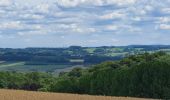Trail Walking Ouffet - promenade au bois d'Ouffet et du trou du Loup - Photo 3