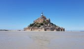 Tour Wandern Le Mont-Saint-Michel - Le Mont St Michel,  Herbus, Sables, et Barrage de La Caserne. - Photo 8