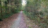 Trail Walking Liedekerke - 20221030 WSV De Pajotten 7 km - Photo 9