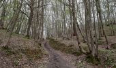 Trail Walking Neupré - Bonsgnée - Photo 1