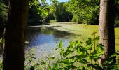 Randonnée Marche Uccle - Forêt de Soignes - Photo 2