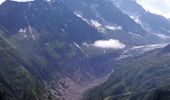 Randonnée Marche Vallorcine - MASSIF DES AIGUILLES ROUGES: LE LAC BLANC DEPUIS LE COL DES MONTETS - Photo 13