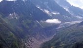 Trail Walking Vallorcine - MASSIF DES AIGUILLES ROUGES: LE LAC BLANC DEPUIS LE COL DES MONTETS - Photo 13
