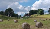 Trail Walking Septmoncel les Molunes - mo sentier des lapidaires - Photo 5