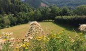 Trail Mountain bike Malmedy - Malmedy - Carrières de la Warche - Photo 1