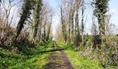 Tour Wandern Erquelinnes - Promenade au bord de la Hantes  - Photo 6