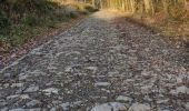 Randonnée Marche Nandrin - Jolie boucle anthinoise au départ de Favence (Nandrin) - Photo 1