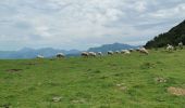 Tocht Stappen Arrens-Marsous - col de soulor, lac de soum, col de bazes, col de soulor  - Photo 13