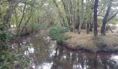 Tocht Stappen Audenge - Audenge - Tour du domaine de Graveyron - Photo 6