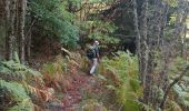 Tour Wandern Taurinya - Jour 3 Pic du Canigou  - Photo 15