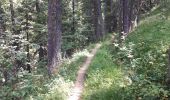 Trail Walking Les Orres - Le chemin du garde - Photo 8