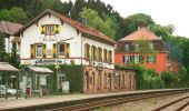 Tocht Te voet Blieskastel - Niederwürzbacher-Weiher-Tour - Photo 3