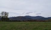 Trail Walking Sentheim - Ronde d'automne - Photo 2