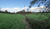 Percorso A piedi Winsen - Rundweg durch die Gemeinden Kisdorf und Winsen - Photo 6