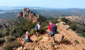 Trail Walking Saint-Raphaël - SityTrail - Pic de Cap Roux et la Grotte de Saint Baume - Photo 13