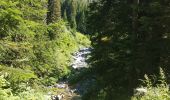 Tocht Stappen Saint-Martin-Vésubie - BOREON - Photo 5