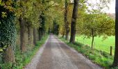 Percorso A piedi Wachtendonk - Rundweg 