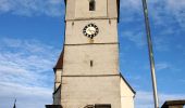 Randonnée A pied Lauf an der Pegnitz - Neunkirchen am Sand Rundwanderweg Rot 3 - Photo 10