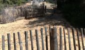 Excursión Senderismo Saint-Cyr-sur-Mer - ,St Cyr la dune et calanque d'alon - Photo 2