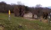 Tour Wandern Presles - Belvédère du ranc ( par la siva) - Photo 8