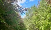 Randonnée Marche Esneux - à travers les bois d Anthines et d Esneux - Photo 4