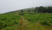 Tocht Stappen Mendionde - le mont baïgura  - Photo 12