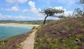 Tour Wandern Crozon - Boucle 18 km Morgat Pointe de Dinan - Photo 1