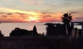 Trail Walking Sanary-sur-Mer - trail La Gorguette au Petit Cerveau - Photo 1