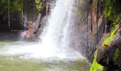 Trail Walking Petit-Bourg - Guadeloupe - Saut de la Lézarde - Photo 2