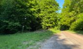 Excursión Senderismo Fleury - en Forêt de Retz_92_05_2022_Rond d'Orléans_Chapeau des Cordeliers_la Laie des étangs de Longpont - Photo 1