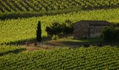 Percorso A piedi Greve in Chianti - IT-G8 - Photo 1