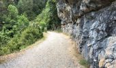 Randonnée Marche Fanlo - Canyon d’Anisclo et village 10 km - Photo 1