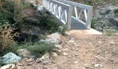 Tocht Trail Carcheto-Brustico - Boucle 2 de la station de trail de corse  - Photo 13