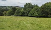 Tour Zu Fuß Malvern Hills - Martley Circular Walk - Photo 2