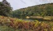 Tour Nordic Walking Herbeumont - herbeumont - Photo 3