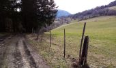 Trail Walking La Chapelle-en-Vercors - Le tour de la Chapelle en Vercors - Photo 5