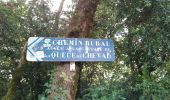 Tour Wandern Saint-Claude - Cascade de la queue de Cheval - Photo 1