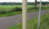 Trail On foot Hellendoorn - WNW Twente - Hellendoornseberg - rode route - Photo 4