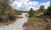 Trail On foot Lietzow - Lietzow-Feuersteinfelder (Nordvariante)-Prora-Binz - Photo 6