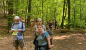 Trail Walking Eupen - Ternell -Eupen - Photo 8