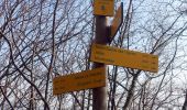 Trail Walking Arbin - Arbin-Cruet-2021-03-23 - Photo 6