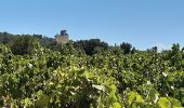 Tour Wandern Châteauneuf-du-Pape - Ch. du Pape - Château de l'Hers - Photo 4