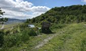 Tour Wandern Leiwen - Zummeterhof 19 km - Photo 9