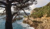 Tour Wandern Nizza - Vieux Nice- Beaulieu par la côte  - Photo 1