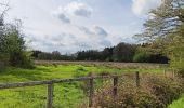 Trail Walking Theux - la reid . vert buisson . charmille / variante  - Photo 8