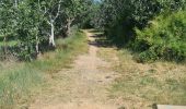 Tocht Quad Montescot -  Villeneuve-de-la-Raho-Collioure (Septembre/Juin) - Photo 12