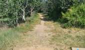 Tour Quad Montescot -  Villeneuve-de-la-Raho-Collioure (Septembre/Juin) - Photo 12
