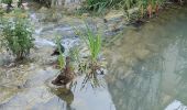 Tour Wandern Châtenay-Malabry - L'Antonyenne - Photo 4