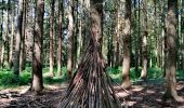 Randonnée Marche Seraing - Bois de la Vecquée   - Photo 3