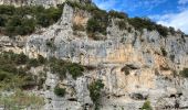 Tour Wandern Labastide-de-Virac - Gorges de l’Ardeche - Photo 3
